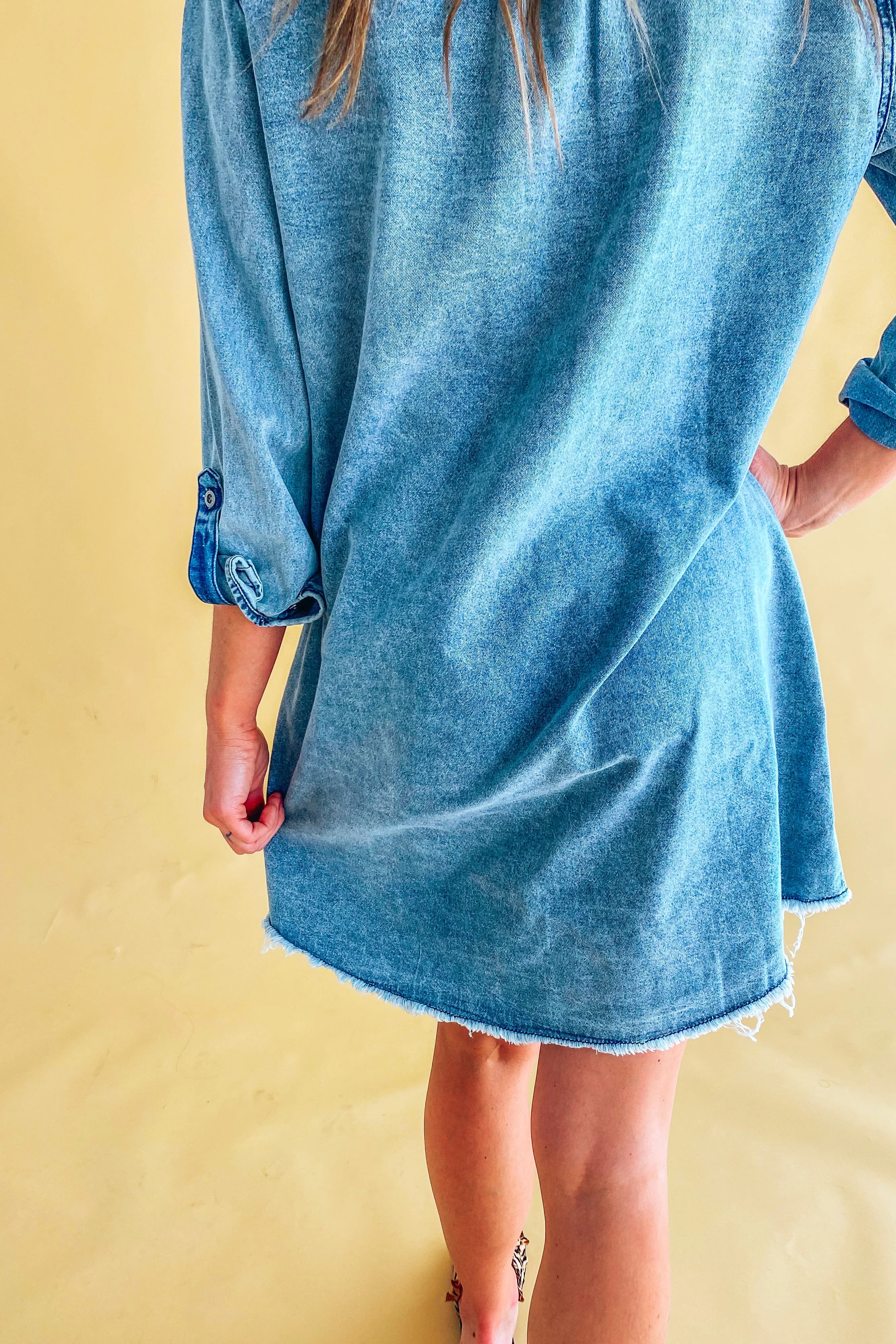 Alice Denim Long Sleeve Dress