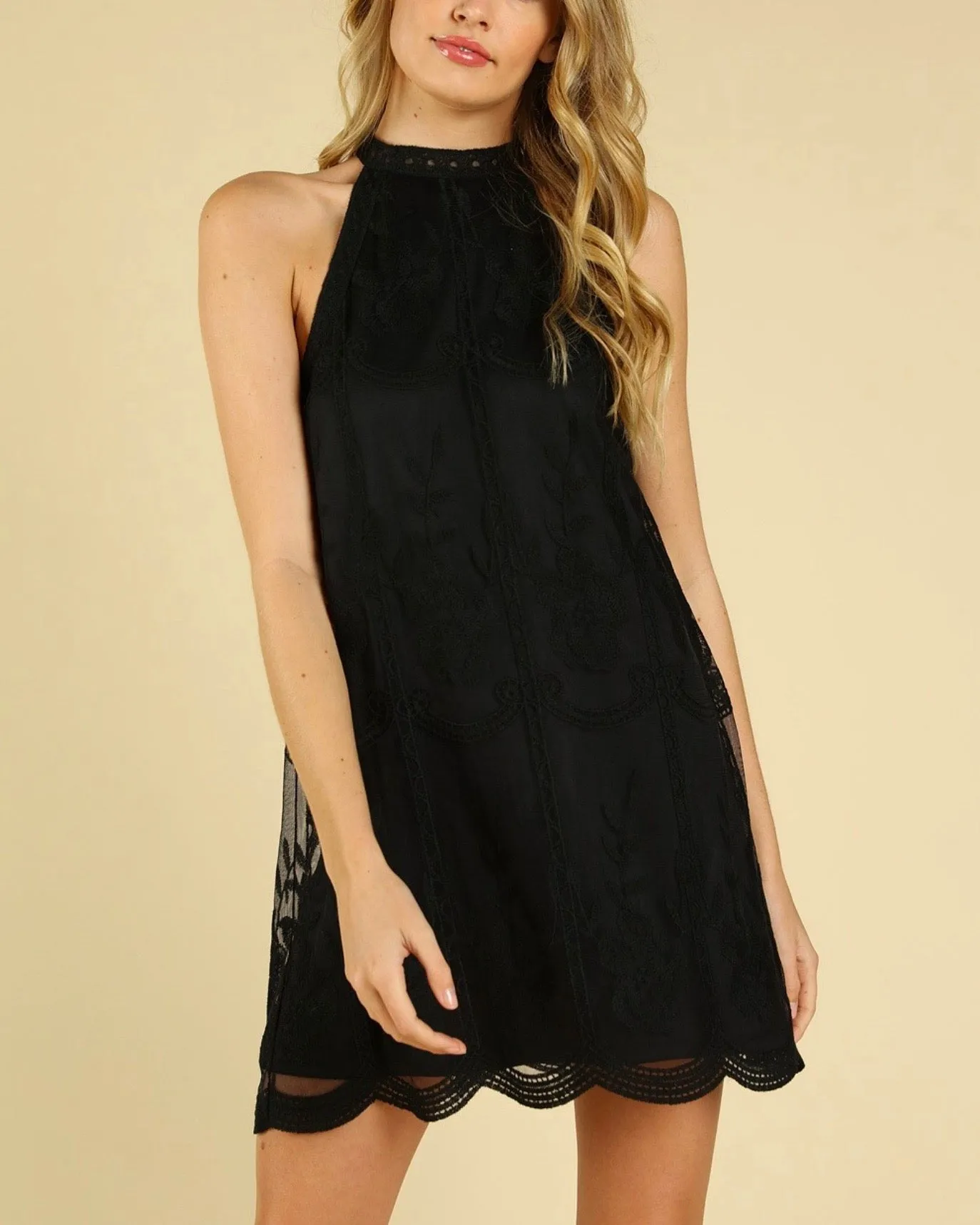 As You Wish Embroidered Halter Lace Mini Dress in More Colors