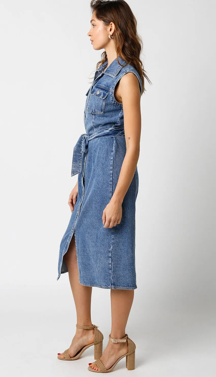 Cassidy Denim Dress