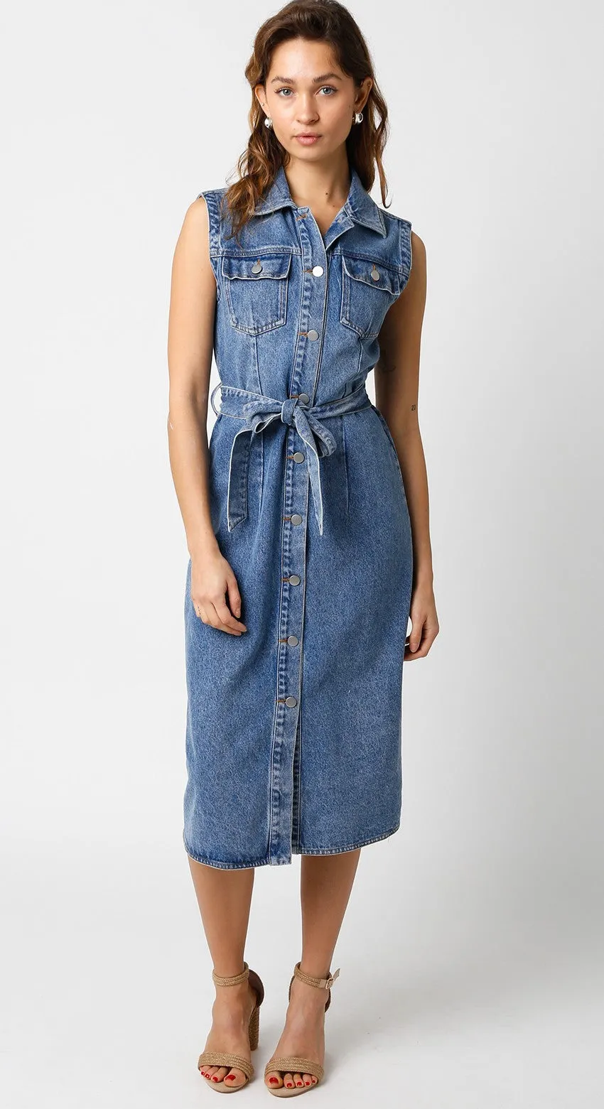 Cassidy Denim Dress