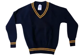 Longsleeve Striped Jersey - Isikhum Navy/Gold