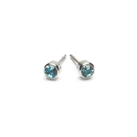 March Birthstone Stainless Steel Earrings