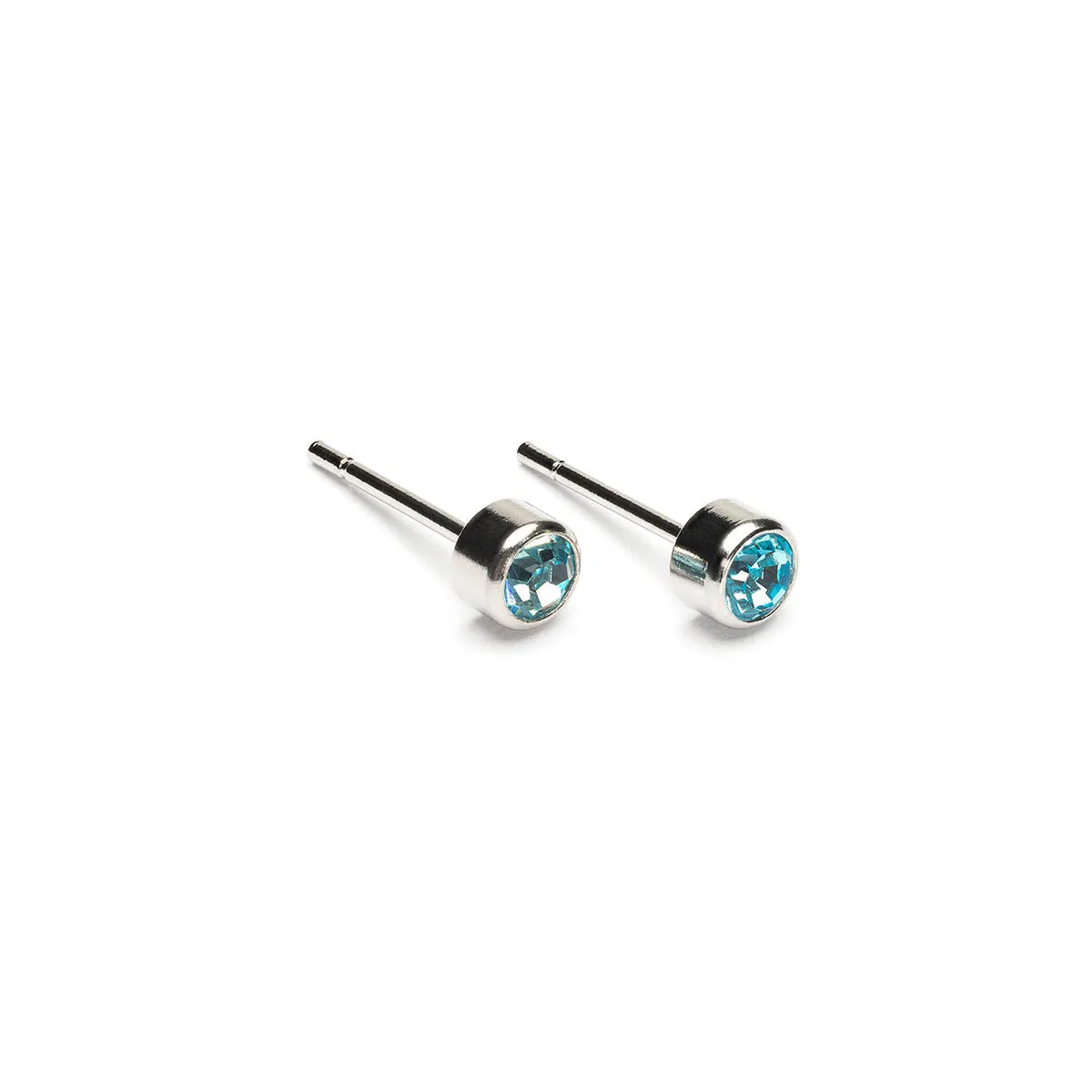 March Birthstone Stainless Steel Earrings